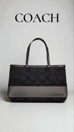COACH コーチ シグネチャー トートバッグ ストライプ ブラック シルバー