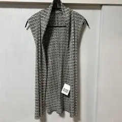 PLEATS PLEASE ISSEY MIYAKE レアなジレベスト
