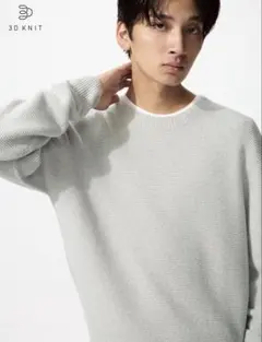 ウォッシャブル3Dクルーネックセーター　L