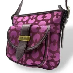 アナスイ ショルダーバッグ 斜め掛け キャンバス 紫 パープル 総柄 金具ロゴ