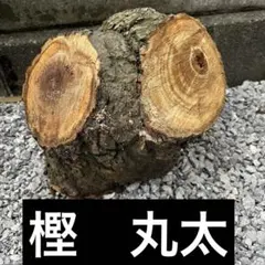 2026年最新】樫の木丸太の人気アイテム - メルカリ