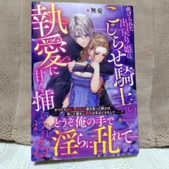 虐げられた出戻り姫は、こじらせ騎士の執愛に甘く捕らわれる