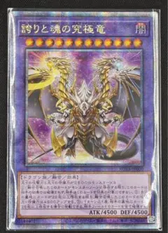 誇りと魂の龍　アジア版　ARS10+ 2025年最新】誇りと魂の究極竜 アジアの人気アイテム - メルカリ