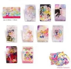 セーラームーン 歴代会員証ピンズセット ファンクラブ 10周年 FC限定