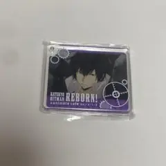 雲雀恭弥 コロッタ