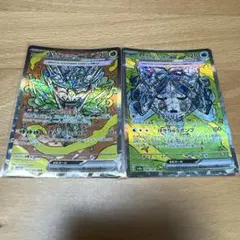 オーガポンSAR 2枚セット