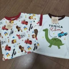 Item thumbnail for item 67f40229-67cd-4821-a1e9-0c14c526eea8