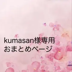 kumasan様 リクエスト 2点 まとめ商品
