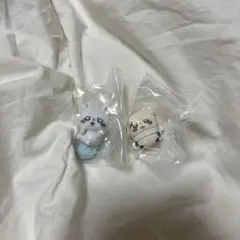 ちいかわ　ハグコット4