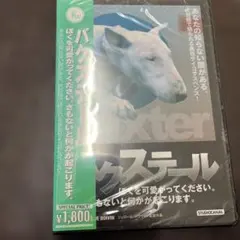 Item thumbnail for item e1227d67-cb3a-4fb7-8bfc-b6b1f2135894