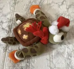 ニモ スクワート