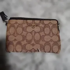 COACH ブラウン フラグメントケース