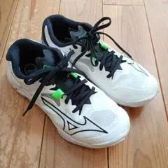 Mizunoバレー3E 23.0wave lightning z8