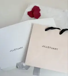 JILLSTUART ジルシュチュアート ギフトボックス ショッパー