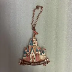 TDR ディズニーランド バッグチャーム 40周年
