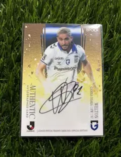 Item thumbnail for item 5c2ceea9-3d2b-4e6b-9080-fabb2d044aa2