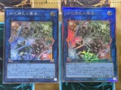 ひ*め様 四花繚乱の霊使い 2枚セット　シク　レリーフ