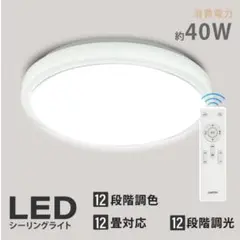 YAMAGIWA シーリングライト G1441 直径47cm USED - メルカリ