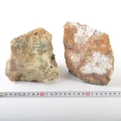 天然石　鑑賞石　菊花石など　置物　3点まとめて　C　5459A 天然石 鑑賞石 菊花石など 置物 3点まとめて C 5459A - メルカリ