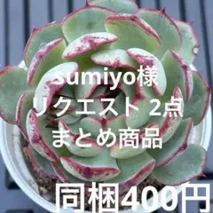 sumiyo様 リクエスト 2点 まとめ商品
