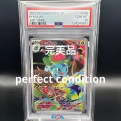 2026年最新】フシギソウAR psa10の人気アイテム - メルカリ