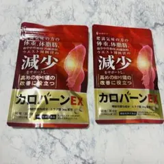 Item thumbnail for item 0b730a02-79c0-4dfb-9158-6b3cff2b73b9