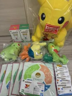 一番くじ ポケモン30周年 C賞 ヒトカゲ フシギダネ ラストワン賞