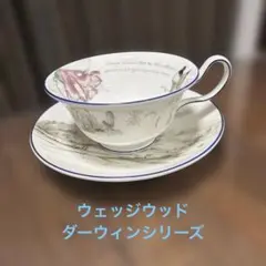 最終価格 ウェッジウッド ティーカップ ソーサーヴォヤージュ オブ ザ 