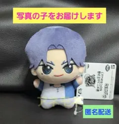 2026年最新】新テニスの王子様 跡部景吾 ぬいぐるみの人気アイテム