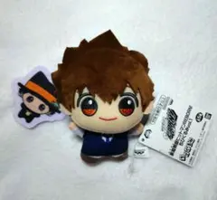 家庭教師ヒットマンREBORN! ちびぐるみ 沢田綱吉