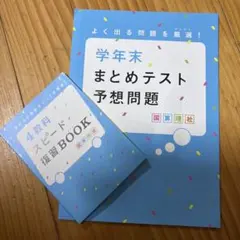 学年末 まとめテスト 予想問題