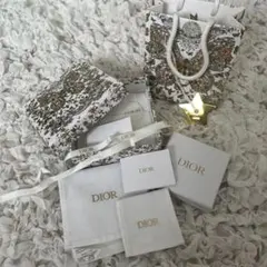 Dior ショップ袋・ギフトボックスセット　ショッパー　紙袋　箱　キーホルダー