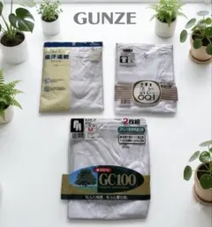 【グンゼ GUNZE 肌着 まとめ売り 3点 Mサイズ 未使用】