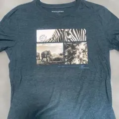 BANANA REPUBLIC Tシャツ M ECO T-SHIRTのサムネイル