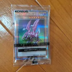 2026年最新】ホーリーナイトドラゴン 25の人気アイテム - メルカリ