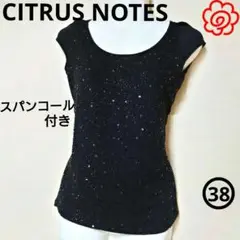 【シトラスノーツ】カットソー ノースリーブ フレンチスリーブ スパンコール 38