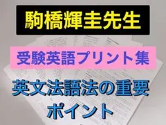 駿台 駒橋輝圭先生 英語まとめプリント集 鉄緑会 河合塾 東進 代ゼミ