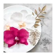 成人式 髪飾り 結婚式 胡蝶蘭 コチョウラン ゴールド ドライフラワー ピンク