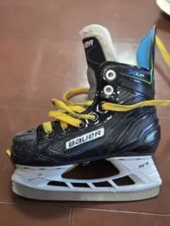 Item thumbnail for item 8f9d902d-72df-4a53-8b3f-6d060c0ad33d