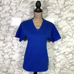 POLO Ralph Lauren　（M）　Ｖネック半袖Tシャツ　ロゴ刺繍　青
