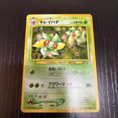 2026年最新】キレイハナ 旧の人気アイテム - メルカリ