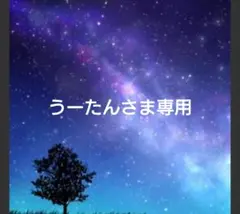うーたんさま専用