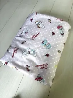 Item thumbnail for item 435fa038-5056-4e7b-baa2-456a96698609