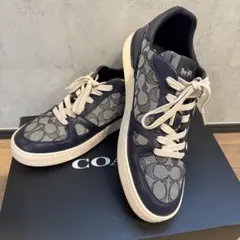 Item thumbnail for item fa18fd88-dbb9-48cb-8e83-4d7ee6efa8d7