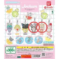 めじるしアクセサリー2　Jochum