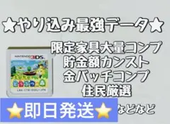 とびだせどうぶつの森 やり込み最強