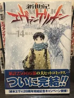 人気！　新世紀エヴァンゲリオン 14巻セット
