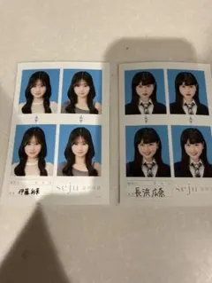 seju 証明写真 伊藤彩華 長浜広奈 2枚セットのサムネイル