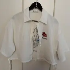 Item thumbnail for item 67d5456b-3540-4547-9d5c-8a08c433682e