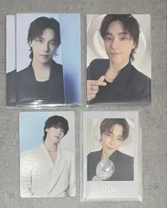 SEVENTEEN セブチ NEW_トレカ/インスタントフォト　セルカ付きディノ